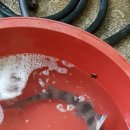 노화전통시장 이미지