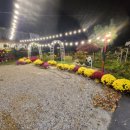 스마트종묘사 이미지