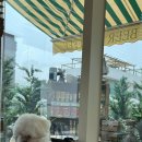 애견마을 | 파주 헤이리마을 애견동반식당 후기｜이그조틱