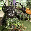 여주곤충박물관 | 여주 곤충 박물관 후기｜아기랑 체험하기 좋은 실내 나들이