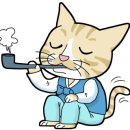 갈맷길 5코스 5-1구간 이미지