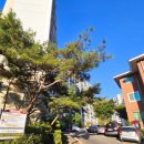 장미유통 이미지