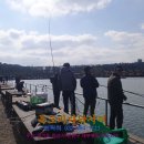 독도바다낚시터 이미지