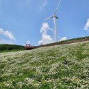 마지기로 이미지