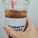 매머드익스프레스성수