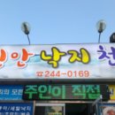 신안낙지천국