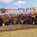 서구청 옥상생태공원 이미지