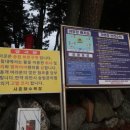 사촌해수욕장야영장 이미지