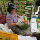 서면농장 이미지