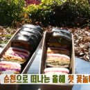 순천만쉼표2 이미지