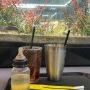 경춘북로 | 구리 수풀림 카페 후기｜물고기 수조가 가득한 구리 이색카페