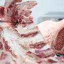 신원축산 이미지