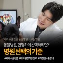 석촌호수동물병원 | 송파구동물병원, 이렇게 선택하세요.