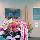 어울림치과기공소 이미지