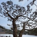의림지-04 Daum카페