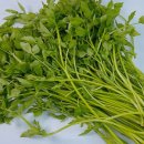 빛나농장 이미지