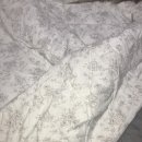 자이언트세탁소 이미지