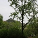 장춘족발 - 부산진구 중앙번영로20번길 31 | 장춘족발