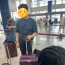 카케어포유 | 돌아기랑 제주도 4박5일 여행기 1일차 (짐싸기, 청주공항, 마미포유, 그랜드조선 제주)
