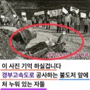 [권순활 칼럼 : 누가 해코지 했나?] 포스코-삼성전자, 이를 어떡해 … 문재인 탓! 이미지