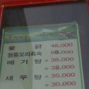 관망대가든