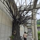 이천 현대정비 | [이천 라드라비 리조트]미술관이 있는 프라이빗 리조트 자연속 힐링하기(서경루 독채한옥,레스토랑,조식...