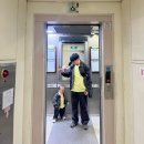 공도센트럴파크어린이집 | 마지막 겨울이 가고 봄이 오는 중 ₊˚𓍢🌱💚🍃♡゙🛹˚°🤸🏼‍♀️ꔛ🏡