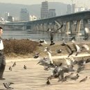 대천 레일바이크 네이버블로그