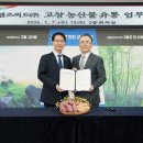 매일농산물