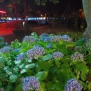 김사장PC 이미지