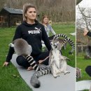 여우요가 이미지