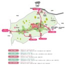 화전마을회관 | 강화도 고려산 진달래 : 개화 시기·주변 명소·맛집 총정리 2026 🌸