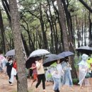 사뿐사뿐 이미지