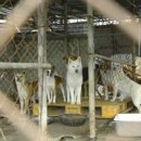 마리농장 이미지