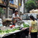 신강목장 이미지