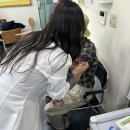 영동군보건소 이미지