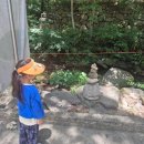 아원산방 이미지