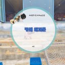 해피애견 | 태안 애견동반 카페 추천｜해피준카페 29kg 대형견과 야외 테라스에서 바다 보며 쉬었던 후기