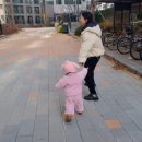 역삼중학교 | [자격증 합격수기] CPPG 2주 공부하고 합격 가능??? 2주 공부하고 턱걸이 합격한 후기 #개인정보 관리자