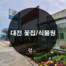 [대전] 꽃집/식물원 추천, 화분 저렴하게 사서 왔어요.(실제후기)