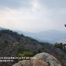 순천-01호 네이버블로그