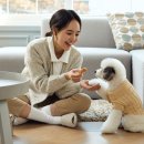 울산광역시청 1별관 이미지