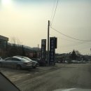 도그스101 | 애견카페 도그스101_폴리네나들이