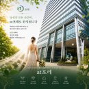 에이티컨설팅 - 해남군 남부순환로 122 | 강남 결혼식장 추천 aTFORET에서 시작되는 가장 빛나는 날