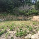 현남면사무소 이미지