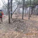 이마트 건너편 이미지