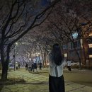 연미옥