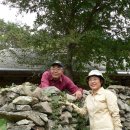 백년민박 이미지