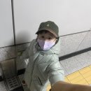 잊고 있었다 몸살감기의 위력 아놔~
