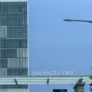 앳 부산 코브 | 🏘️ 아난티 앳 부산 코브 솔직후기 (체크인 전부터 만족)